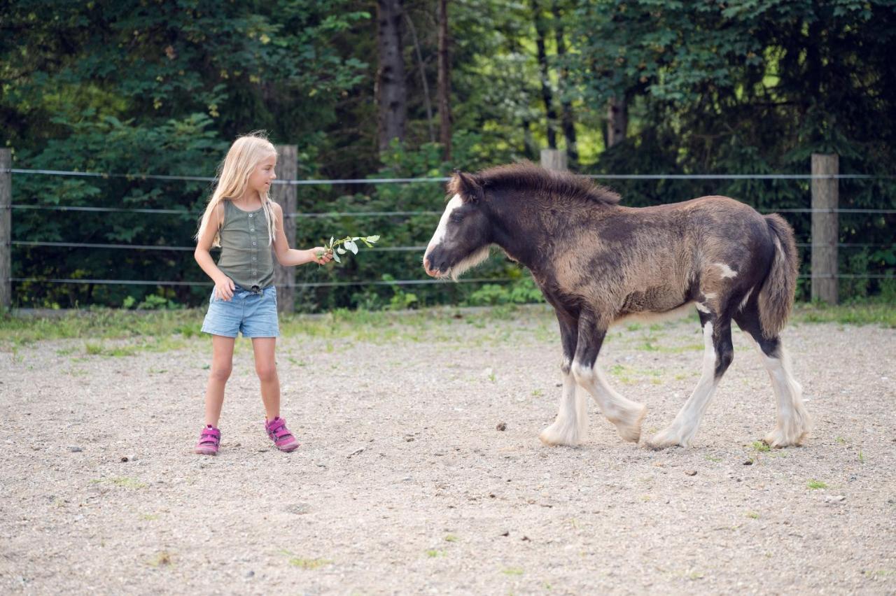 Familienbauernhof Samerhof Пфаррверфен Экстерьер фото