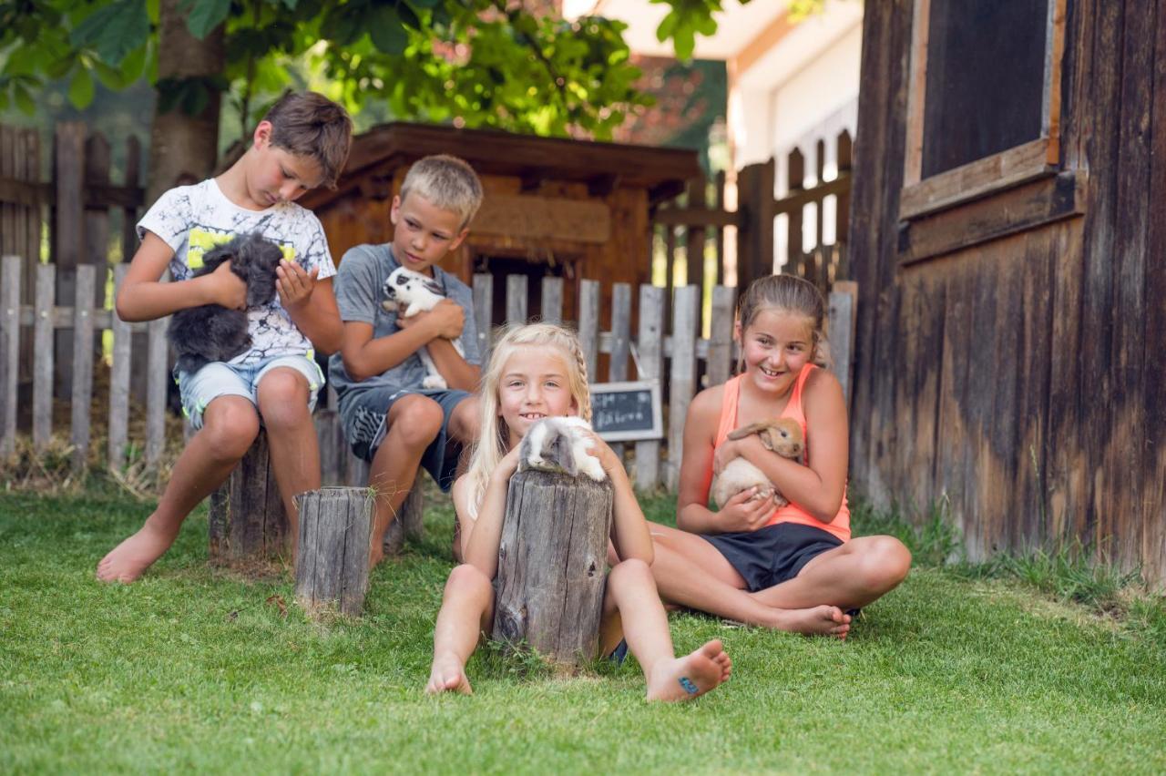 Familienbauernhof Samerhof Пфаррверфен Экстерьер фото